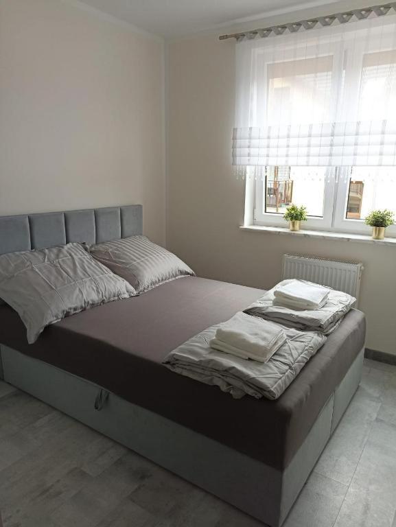 Apartament Brzeg Extérieur photo
